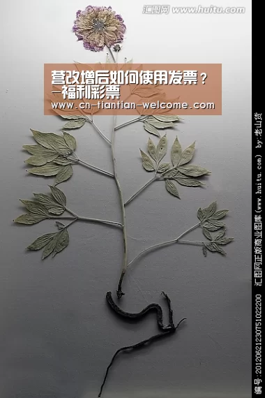 营改增后如何使用发票?-福利彩票(图1) 体育彩票