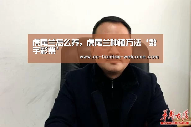 虎尾兰怎么养,虎尾兰种植方法‘数字彩票’(图2) 大众彩票