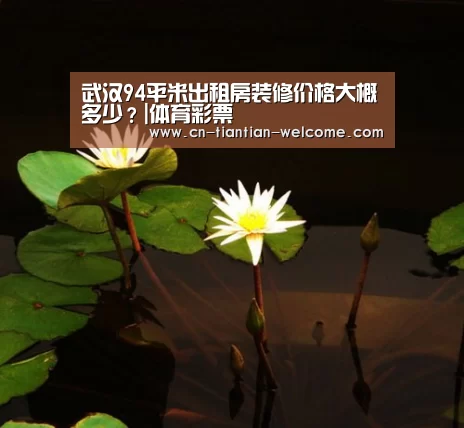 武汉94平米出租房装修价格大概多少?|体育彩票(图2) 彩票平台